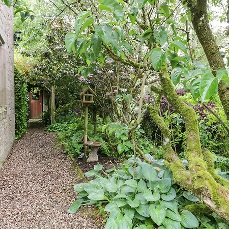 The Holiday home *